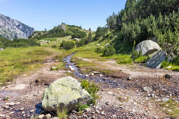 Paisagem Com Rio Banderitsa Montanha Pirin Bulgária — Fotografia de Stock