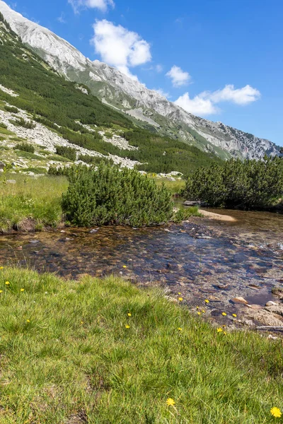 Lansekap Dengan Sungai Banderitsa Pegunungan Pirin Bulgaria — Stok Foto