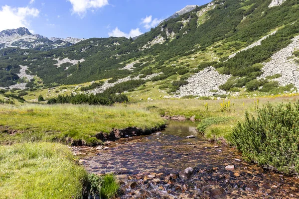 Lansekap Dengan Sungai Banderitsa Pegunungan Pirin Bulgaria — Stok Foto