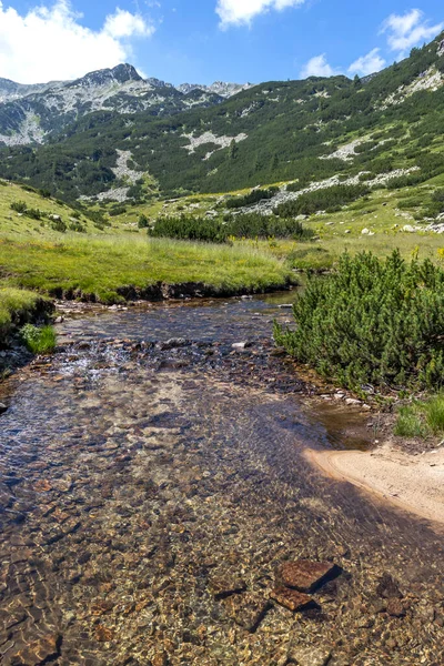 Lansekap Dengan Sungai Banderitsa Pegunungan Pirin Bulgaria — Stok Foto