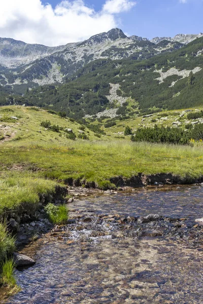 Lansekap Dengan Sungai Banderitsa Pegunungan Pirin Bulgaria — Stok Foto