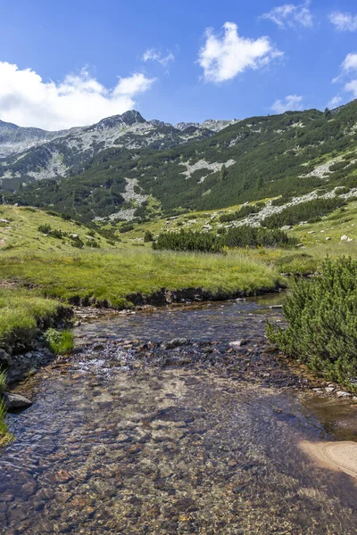 Paesaggio Con Fiume Banderitsa Pirin Mountain Bulgaria — Foto Stock