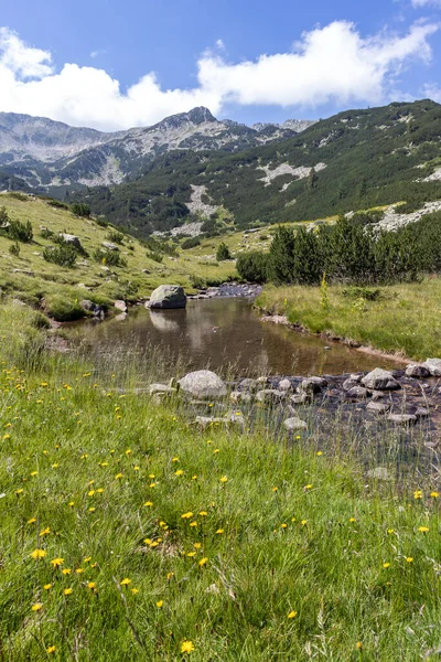 Krajina Řekou Banderitsa Pirin Mountain Bulharsko — Stock fotografie