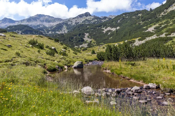 Landscape Banderitsa River Pirin Mountain Bulgaria — Stock Photo, Image