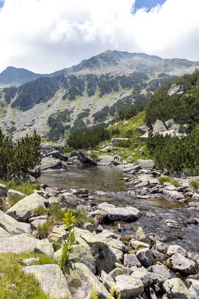 Пейзаж Річкою Бандерица Пірін Гора Болгарія — стокове фото