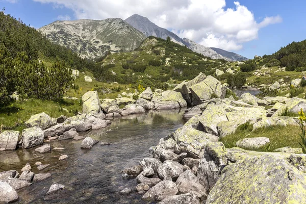Paisaje Con Río Banderitsa Montaña Pirin Bulgaria —  Fotos de Stock