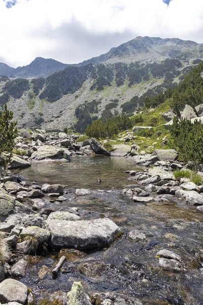 Пейзаж Річкою Бандерица Пірін Гора Болгарія — стокове фото