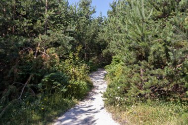 Belintash, Bulgaristan 'ın Rodop Dağları' ndaki tanrı Sabazios 'a adanmıştır.