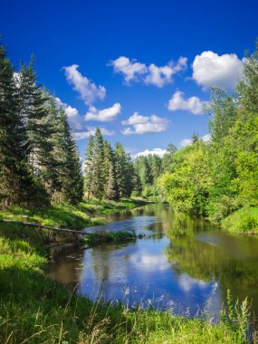 Sıcak yazlarda nehir olan yeşil bir arazi.