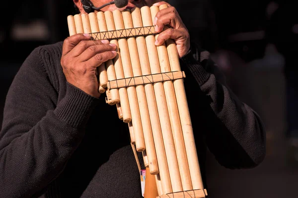 Pan Flute Player Performing Stage — Stock Photo, Image
