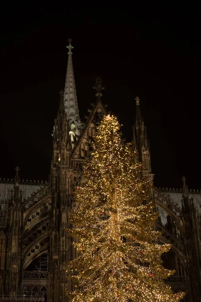 Kölner Dom Und Tannenlichter Bei Nacht — Stockfoto