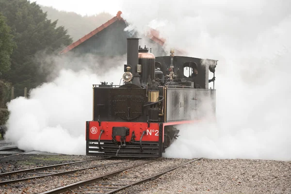 Vue Train Avec Vapeur Depuis Baie Somme France — Photo