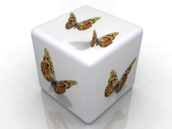 Cubo Mariposas Sobre Fondo Blanco —  Fotos de Stock