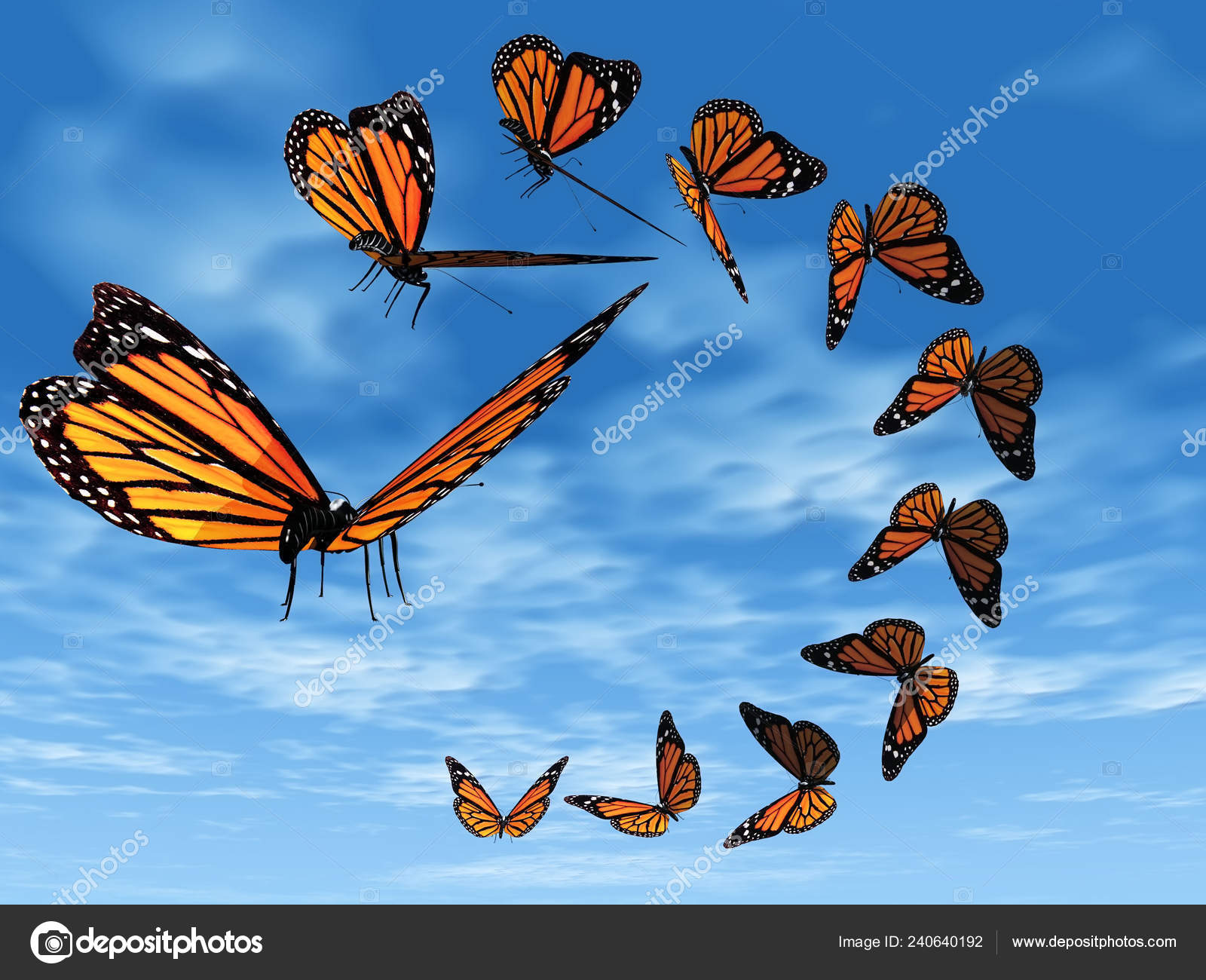 Spiral Butterflies Spiral Butterflies