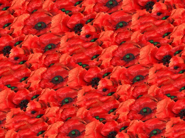 Red Poppy Flowers Seamless Pattern — Stock Photo, Image