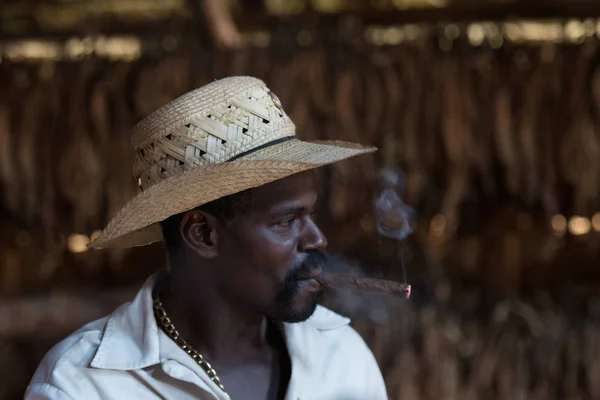 Tabaco Cigarros Cuba —  Fotos de Stock