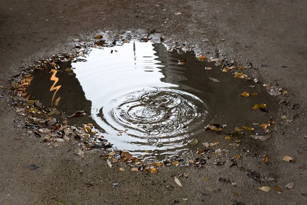 Puddle Krople Drodze — Zdjęcie stockowe