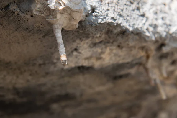 Estalactita y gota de agua —  Fotos de Stock