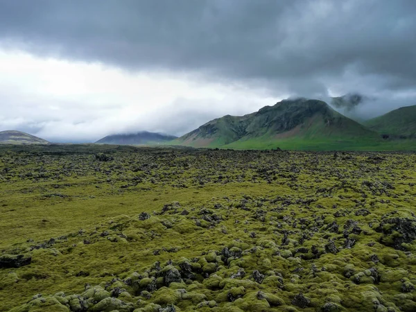 Campo de lava na Islândia — Fotografia de Stock