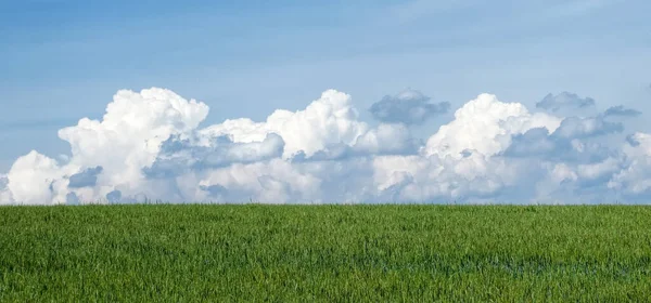 Lucht Wolken Tarwe — Stockfoto