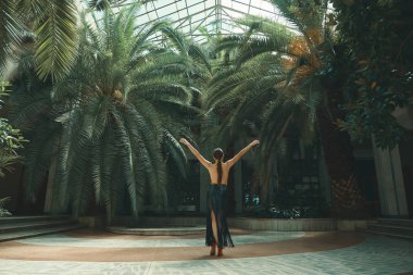 Dans yaşam tarzı bir kavramdır. Genç güzel kadın dansçılar şaşırtıcı bir tropikal bahçede bir cam çatı altında arka planda palmiye ağaçları ile gerçekleştirme. Tutku, motivasyon ve ilham.