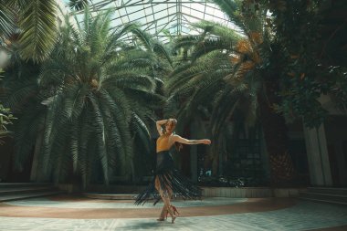 Dans yaşam tarzı bir kavramdır. Genç güzel kadın dansçılar şaşırtıcı bir tropikal bahçede bir cam çatı altında arka planda palmiye ağaçları ile gerçekleştirme. Tutku, motivasyon ve ilham.