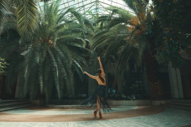 Dans yaşam tarzı bir kavramdır. Genç güzel kadın dansçılar şaşırtıcı bir tropikal bahçede bir cam çatı altında arka planda palmiye ağaçları ile gerçekleştirme. Tutku, motivasyon ve ilham.
