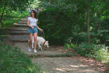 Taze hava nefes ve doğada birlikte iyi vakit zevk onu evde beslenen hayvan köpek yürüyen merdiven, çıkma kaygısız genç kadın.