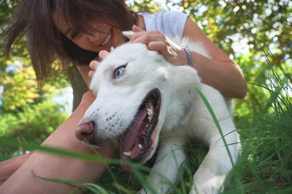 Happy, playful dog with tongue out close up. Woman having a good time playing with her husky pet.