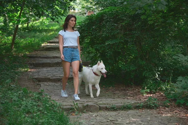 Jeune Femme Insouciante Montant Les Escaliers Promenant Son Chien Compagnie — Photo