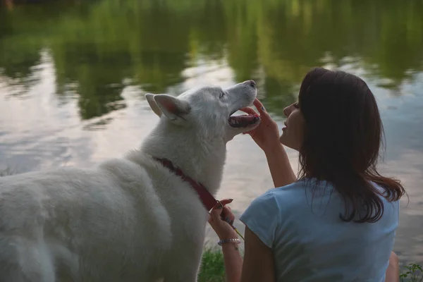 水の近く休んでいる間彼の顔に触れる彼女の犬と話す笑顔の女性 — ストック写真