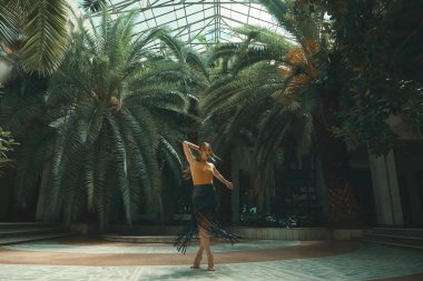 Dans yaşam tarzı bir kavramdır. Genç güzel kadın dansçılar şaşırtıcı bir tropikal bahçede bir cam çatı altında arka planda palmiye ağaçları ile gerçekleştirme. Tutku, motivasyon ve ilham.