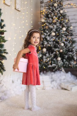 Küçük kız onun arkasından bir Noel hediyesi saklıyor