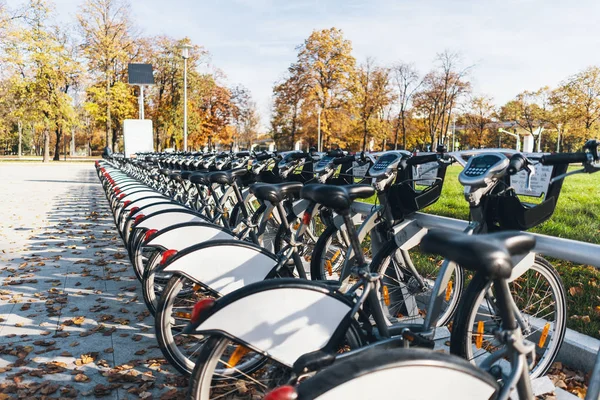 Modern street bike Parking. Bicycles for rent. Copy space on bicycle