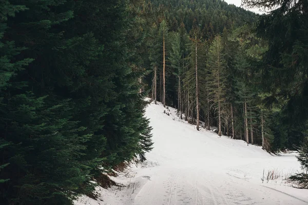 Snöig Skog Med Väg Bergen Kika Över Berget Sett Från — Stockfoto