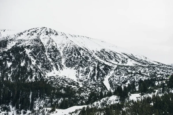 Vinter Utsikten Över Bergen Vackra Underlandet Bergslandskap — Stockfoto