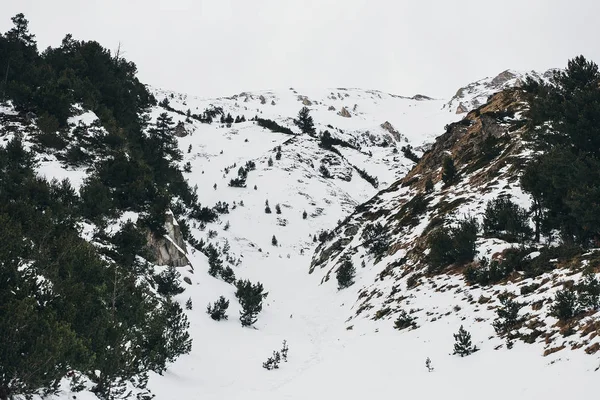 Vinter Utsikten Över Bergen Vackra Underlandet Bergslandskap — Stockfoto