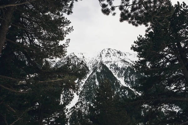 Vista Inverno Picos Montanha Belas Paisagens Montanha País Das Maravilhas — Fotografia de Stock