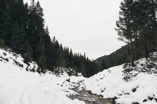Frio Montanha Frio Paisagem Neve Cenário Inverno — Fotografia de Stock
