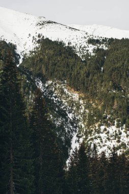 Dağ taş, güzel harikalar dağ manzarası ağaçta yetiştirme kış görünümü. Aşağı atış açısı