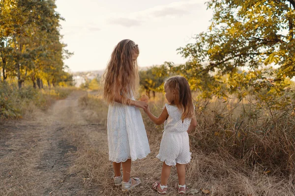 美しいです姉妹遊びながら過ごす自然の中で休日 — ストック写真