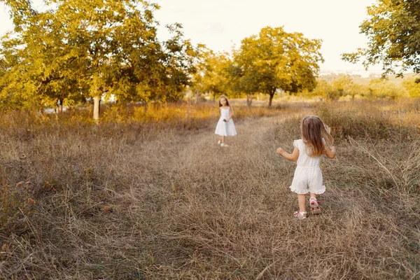 Mooie zusjes die spelen tijdens een vakantie in de natuur — Stockfoto