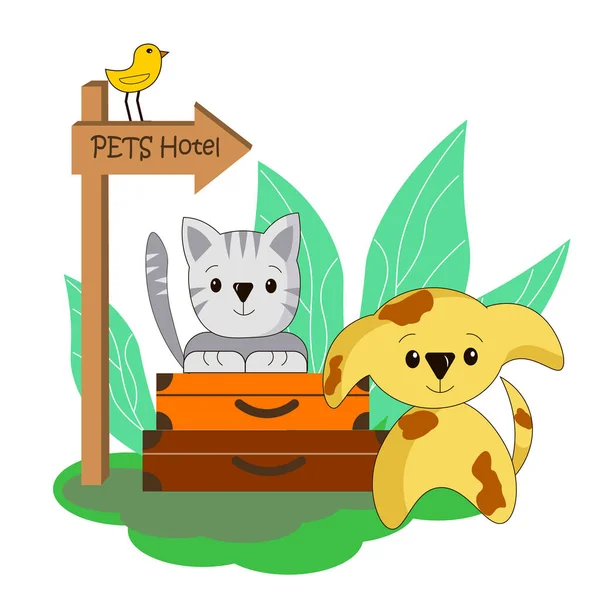 Hotel para mascotas: gato y perro con maletas. Ilustración sobre fondo blanco con texto . — Foto de Stock