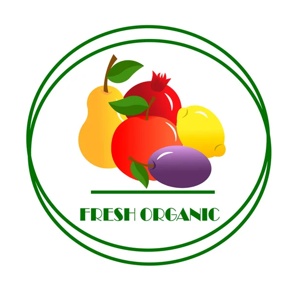 Логотип свежих стилизованных органических фруктов. Векторный рисунок . — стоковый вектор
