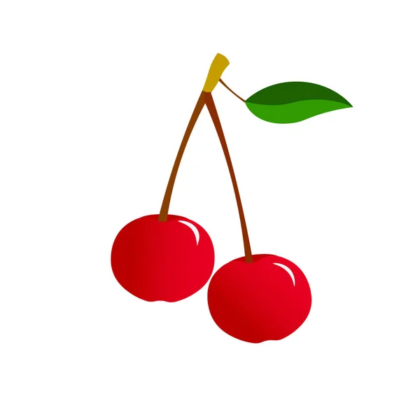 Icon or logo fresh cherries. — Stock Vector