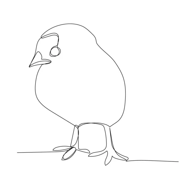 Vektor Bílé Pozadí Kontinuální Kresba Kuřat — Stockový vektor