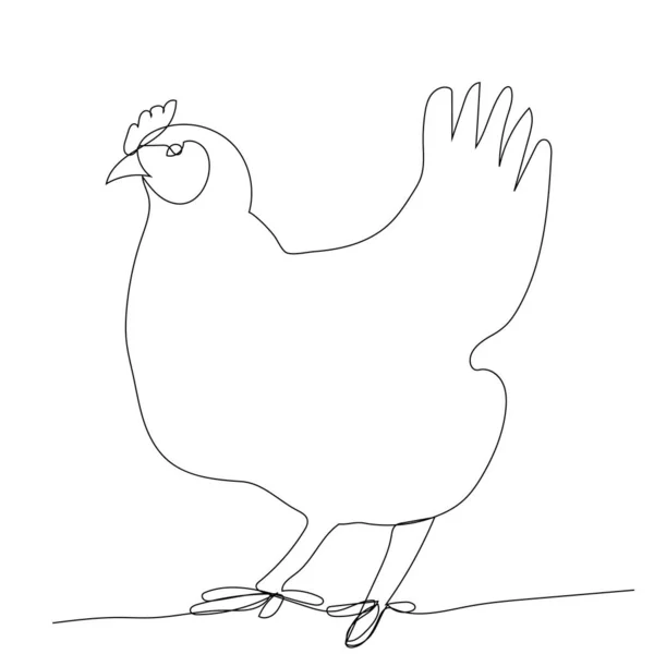White Background Chicken Continuous Line Drawing — Stock Vector