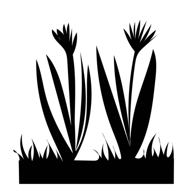 Black Silhouette Grass Plants — Stock Vector