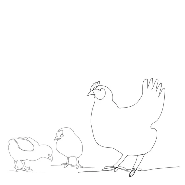 Vektor Vit Bakgrund Kontinuerlig Linje Ritning Kycklingar Och Kyckling — Stock vektor