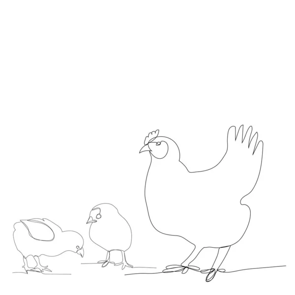 Vector Fondo Blanco Dibujo Línea Continua Pollos Pollo — Archivo Imágenes Vectoriales